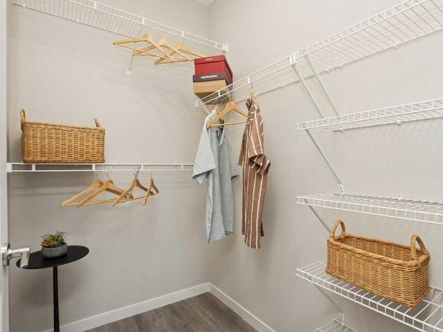 Ascend Angeline 1 Bedroom Apartment for Rent at 16648 Mangrove Island Ave, Land O Lakes, FL 34638