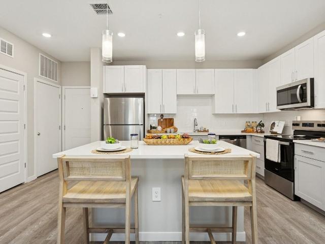 Ascend Angeline 2 Bedroom Apartment for Rent at 16648 Mangrove Island Ave, Land O Lakes, FL 34638