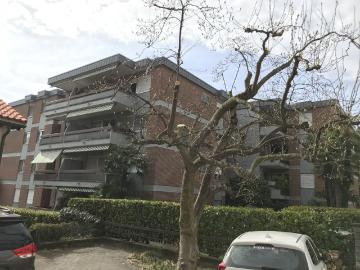 Viale Monte Verità, Lago Maggiore, Bezirk Locarno, Tessin