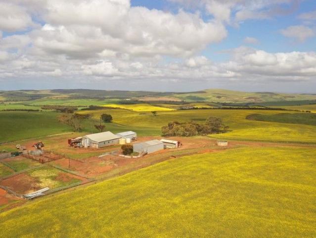 ASHTON VIEW Mixed Farming in reliable rainfall zone