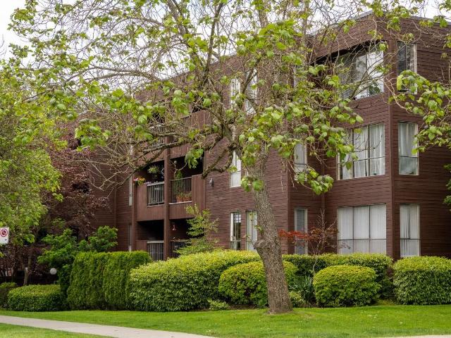 Ash Court