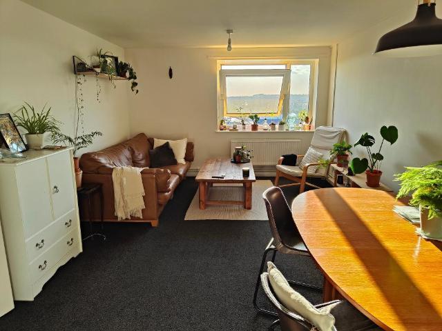 Ash View, Radford, Nottingham, NG7 3BY 2 bed flat to rent £830 pcm £192 pw