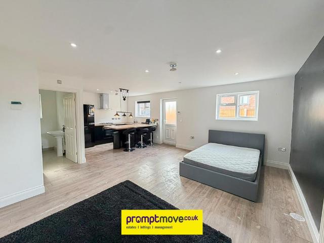 Ashcroft Road Luton LU2 9AA Studio to rent £1,100 pcm £254 pw