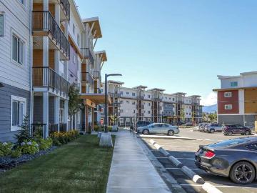 Apartment for rent in Comox Valley - Garden