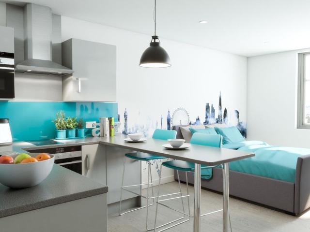 Aspire House, Superior Long Studio PL1, Studio to rent, £927 pcm | PrimeLocation