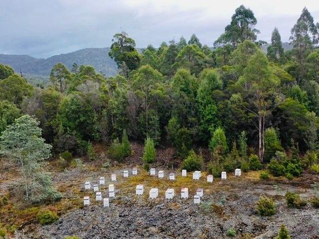 Asset Based Small Scale Commercial Beekeeping Opportunity for Sale
