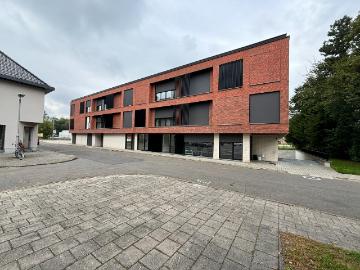 3570, Arrondissement de Tongres, Flandre