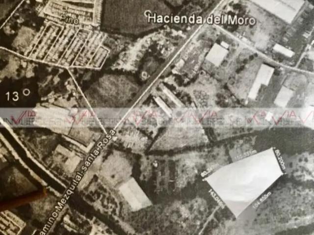 Apodaca