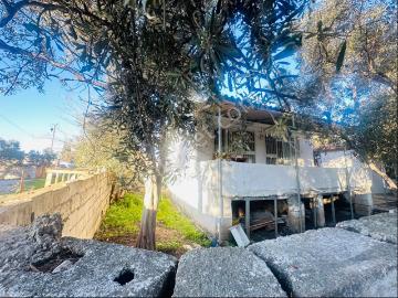Hisar Mah , Didim, Didim, Aydın ili, Ege Bölgesi