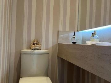 Praça das Hortências, Alphaville Industrial, Barueri, São Paulo