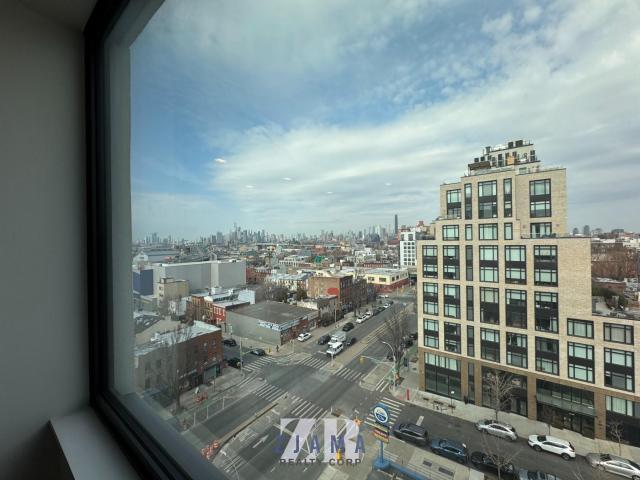 apartment 3 bedroom, BROOKLYN NY 11238 DLS88230409