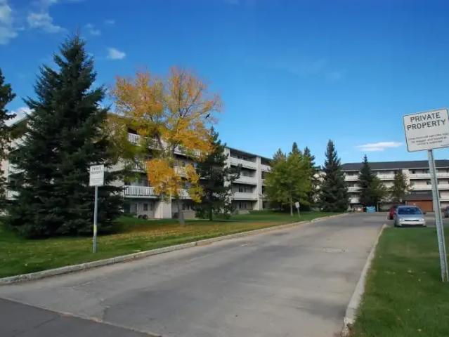 Apartment 3 Bedroom For Rent Edmonton AB 1495 ES105185221