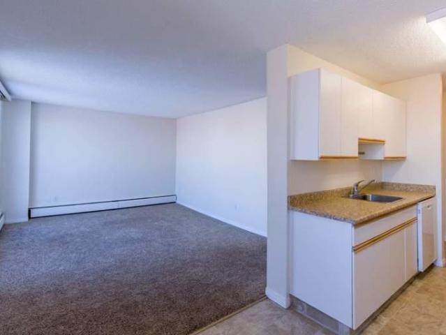 Apartment 3 Bedroom For Rent Edmonton AB 2075 ES96586096