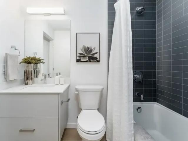 Apartment 3 Bedroom For Rent Edmonton AB 5000 ES96249535