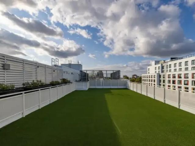 Apartment 3 Bedroom For Rent Kingston ON 1650 ES99752902
