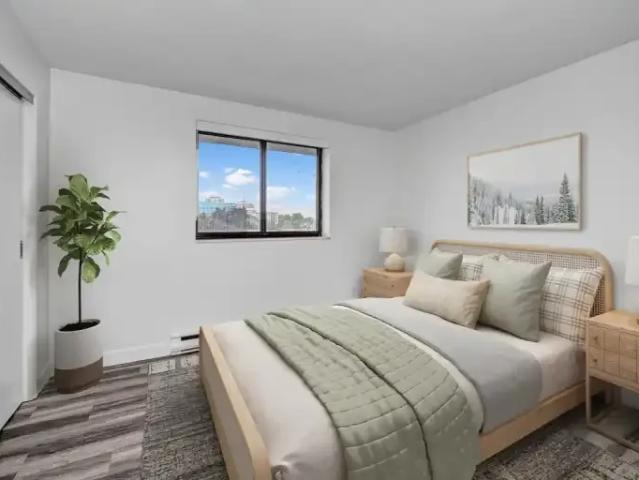 Apartment 3 Bedroom For Rent Waterloo ON 2375 ES105393993