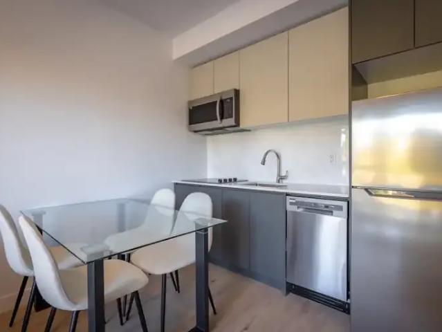 Apartment 1.5 Bedroom For Rent North Vancouver BC 3100 ES104535369