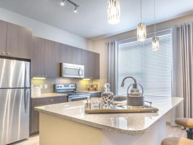 apartment 1 bedroom, Bellaire & Medical Center TX 77030 DS77109946