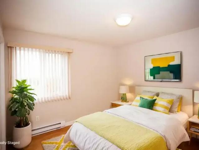 Apartment 1 Bedroom For Rent Moncton NB 1225 ES105394316