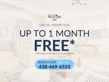Apartment 1 Bedroom For Rent Montréal QC 1440 ES98315056