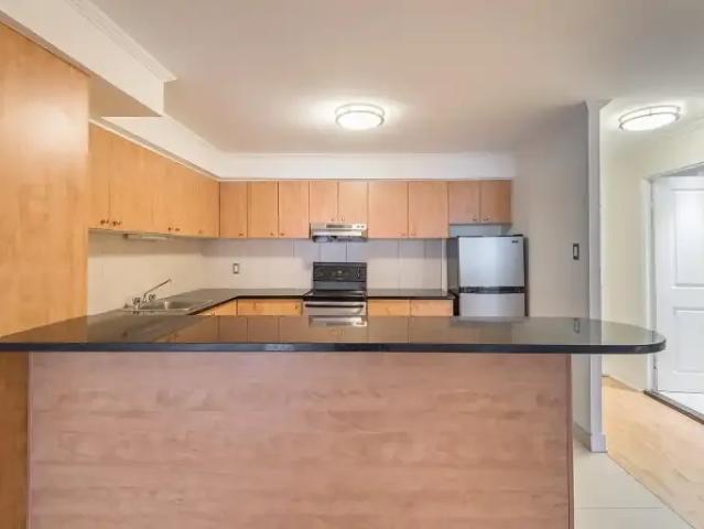Apartment 1 Bedroom For Rent Montreal QC 1545 ES103878702
