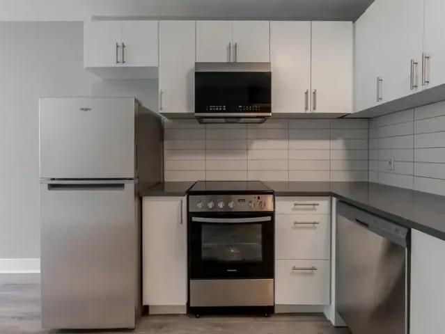 Apartment 1 Bedroom For Rent Montreal QC 1550 ES92182401