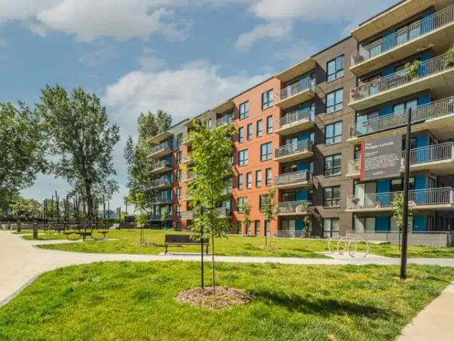 Apartment 1 Bedroom For Rent Montreal QC 1595 ES102518271