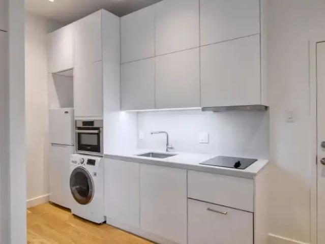 Apartment 1 Bedroom For Rent Montreal QC 1595 ES104710714