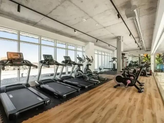 Apartment 1 Bedroom For Rent Montreal QC 1643 ES94297644