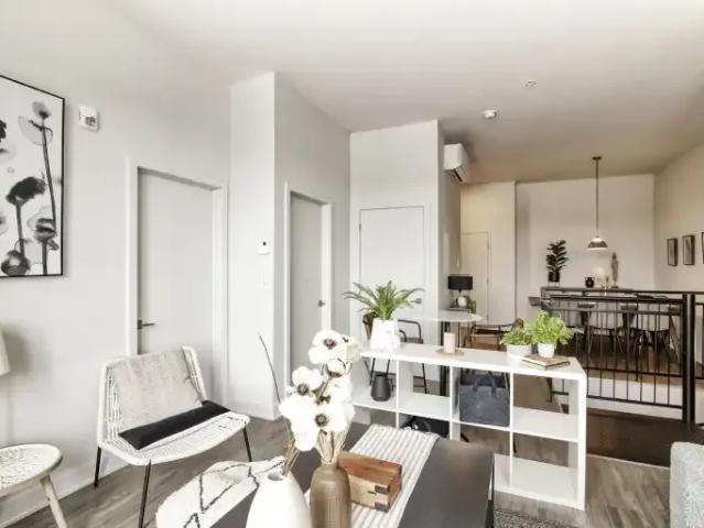 Apartment 1 Bedroom For Rent Montreal QC 1650 ES104710910