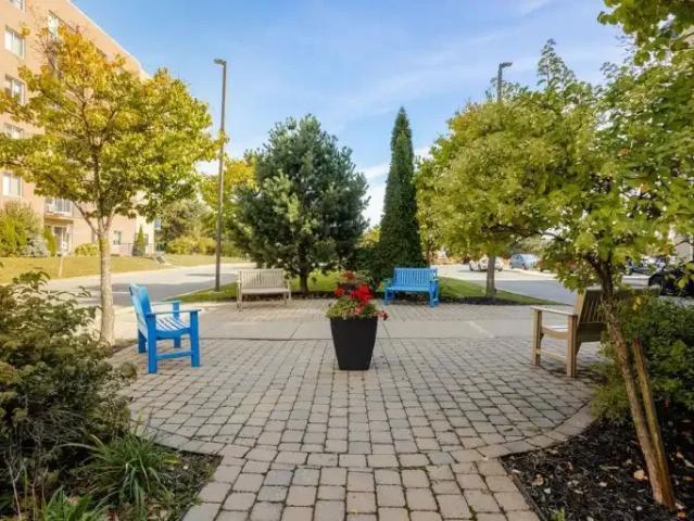Apartment 1 Bedroom For Rent Montreal QC 1655 ES96587636