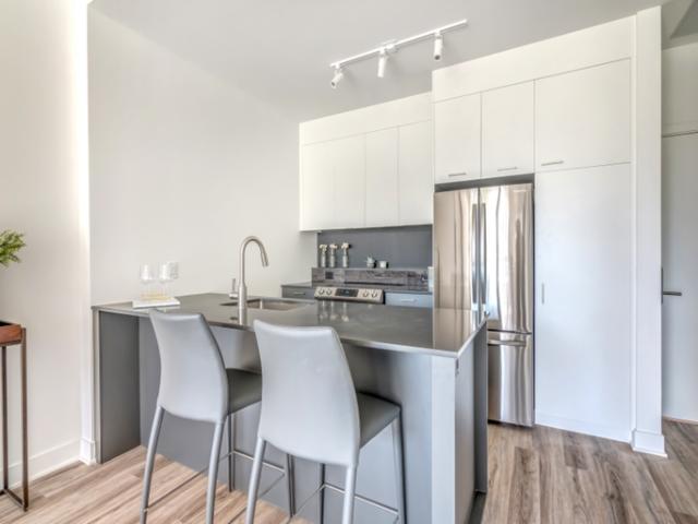 Apartment 1 Bedroom For Rent Montreal QC 1695 ES96586358