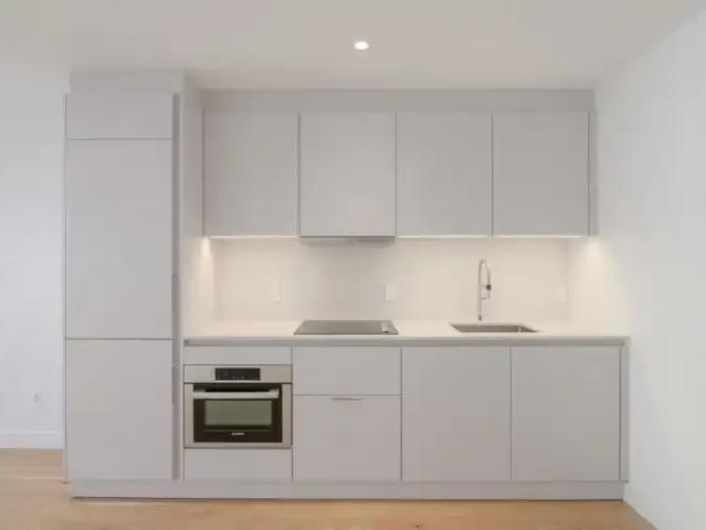 Apartment 1 Bedroom For Rent Montreal QC 1695 ES103410514