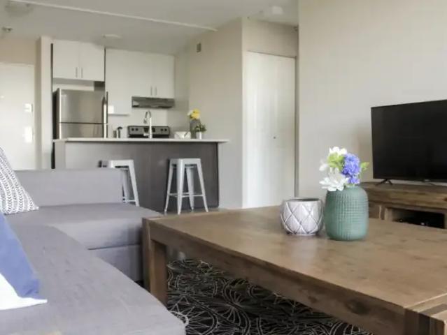 Apartment 1 Bedroom For Rent Montreal QC 1825 ES105281062