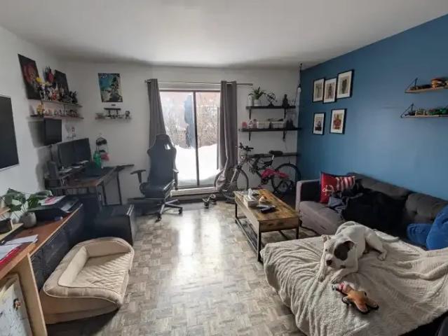 Apartment 1 Bedroom For Rent Montreal QC 1100 ES106004619