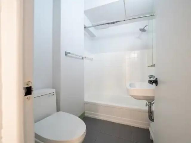 Apartment 1 Bedroom For Rent Montreal QC 1295 ES103568932