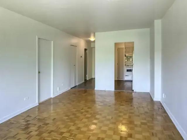 Apartment 1 Bedroom For Rent Montreal QC 1295 ES104178562