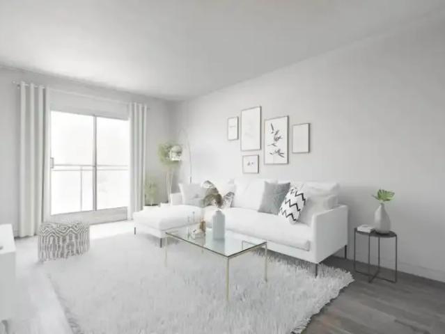 Apartment 1 Bedroom For Rent Montreal QC 1295 ES105166512