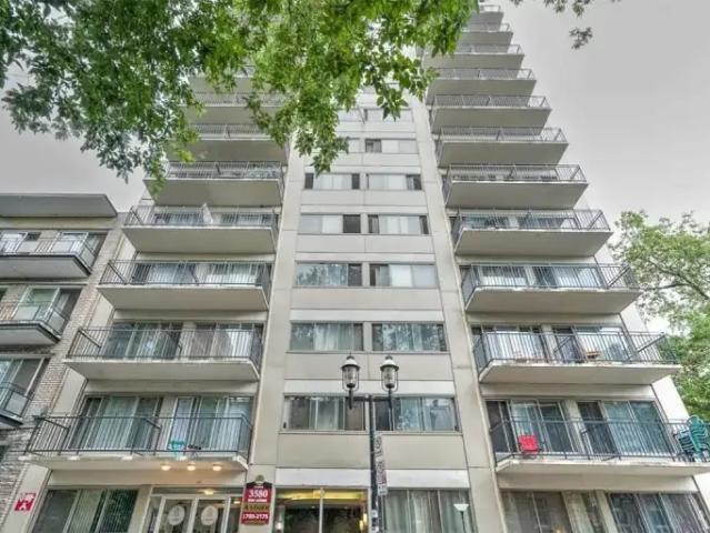 Apartment 1 Bedroom For Rent Montreal QC 1395 ES97702596