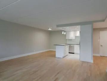 Apartment 1 Bedroom For Rent Montreal QC 2495 ELS100939988