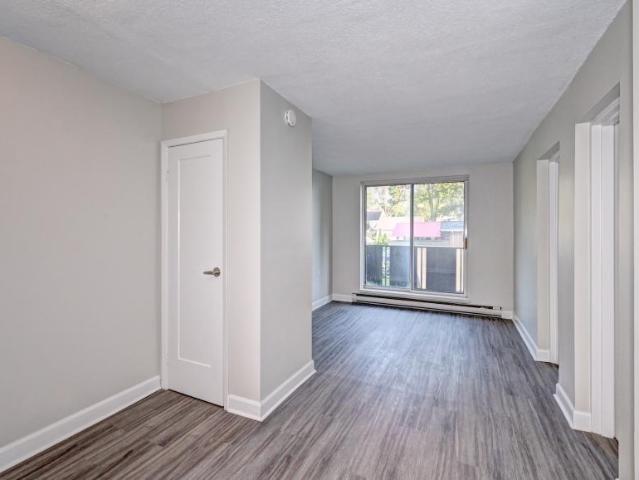 Apartment 1 Bedroom For Rent Mount Forest ON 1565 ES103614630