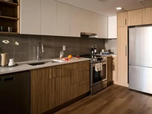 Apartment 1 Bedroom For Rent North Vancouver BC 2800 ES105150352