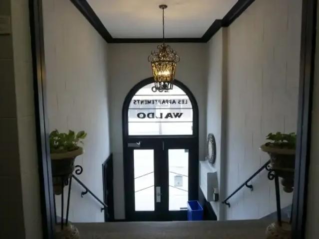 Apartment 1 Bedroom For Rent Ottawa ON 1650 ES103919950