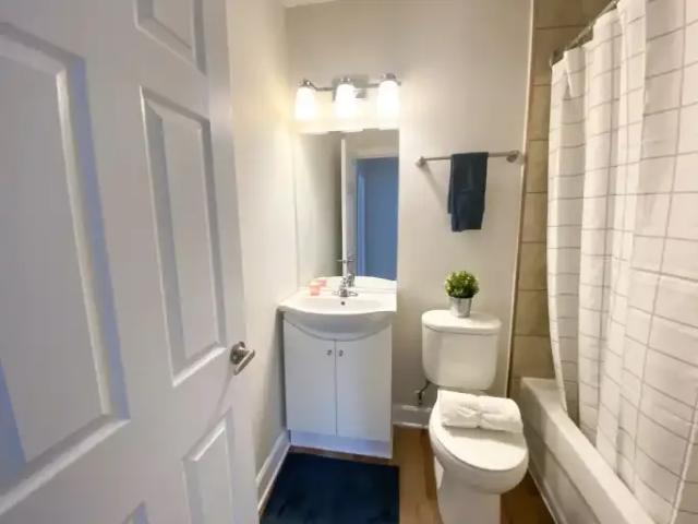 Apartment 1 Bedroom For Rent Ottawa ON 1700 ES105359423