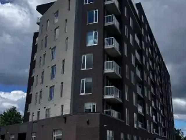 Apartment 1 Bedroom For Rent Ottawa ON 2100 ES103694740