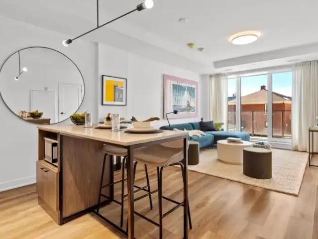 Apartment 1 Bedroom For Rent Ottawa ON 2150 ELS101686823