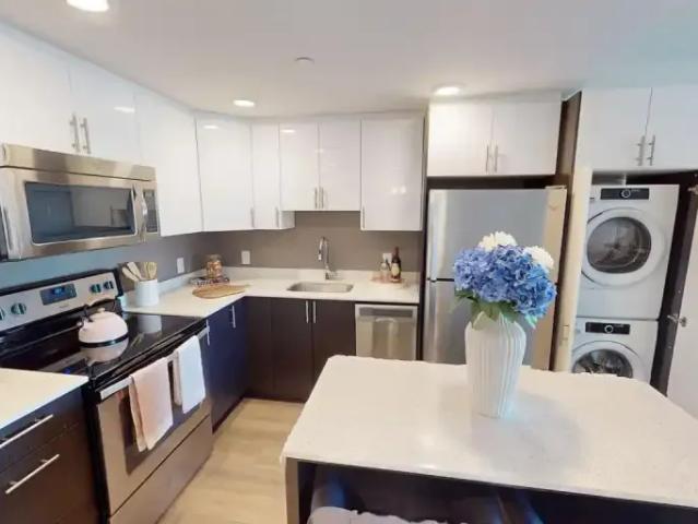 Apartment 1 Bedroom For Rent Ottawa ON 2169 ES103694678