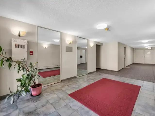 Apartment 1 Bedroom For Rent Burnaby BC 1750 ES105308578