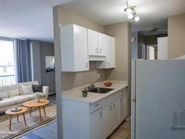 Apartment 1 Bedroom For Rent Calgary AB 1275 ES105359024
