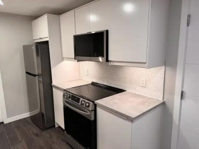 Apartment 1 Bedroom For Rent Calgary AB 1200 ES105185496